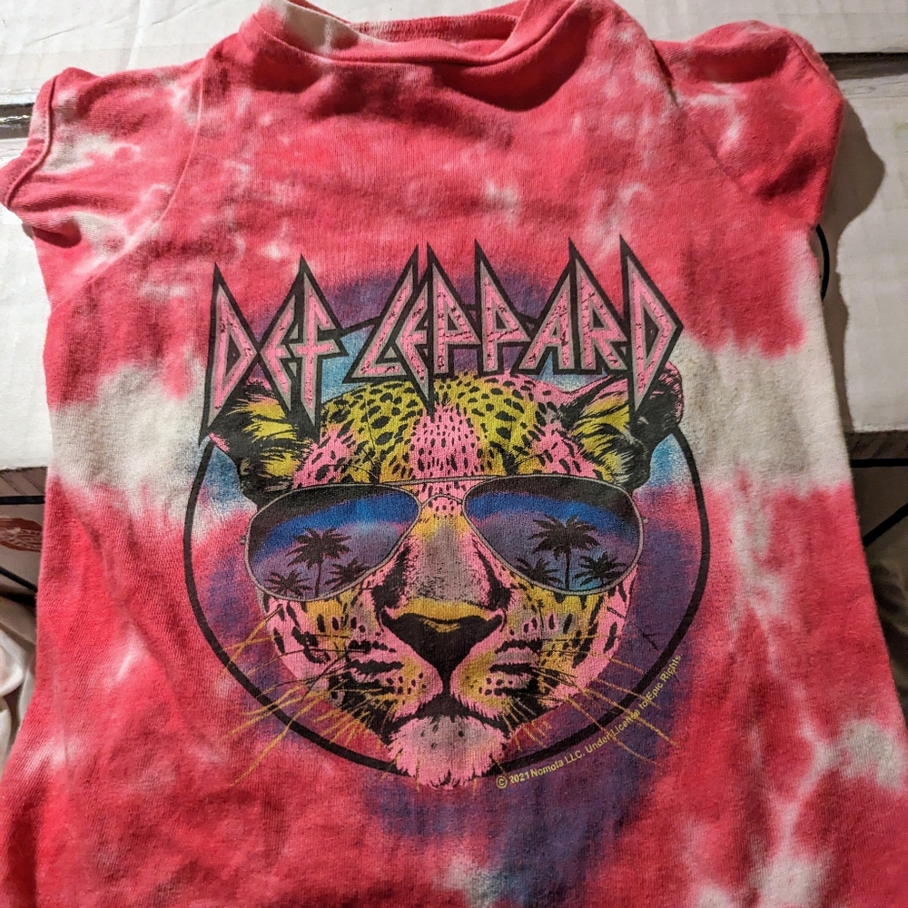Def Leppard doggy style tee.